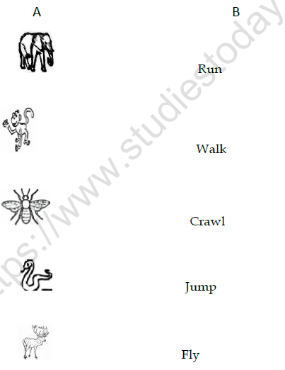 CBSE Class 2 English I am Lucky Worksheet Set C